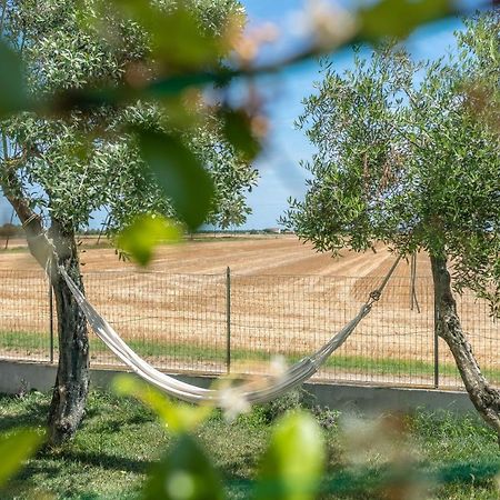 Ortopi Country Canapa House Порто-Реканаті Екстер'єр фото