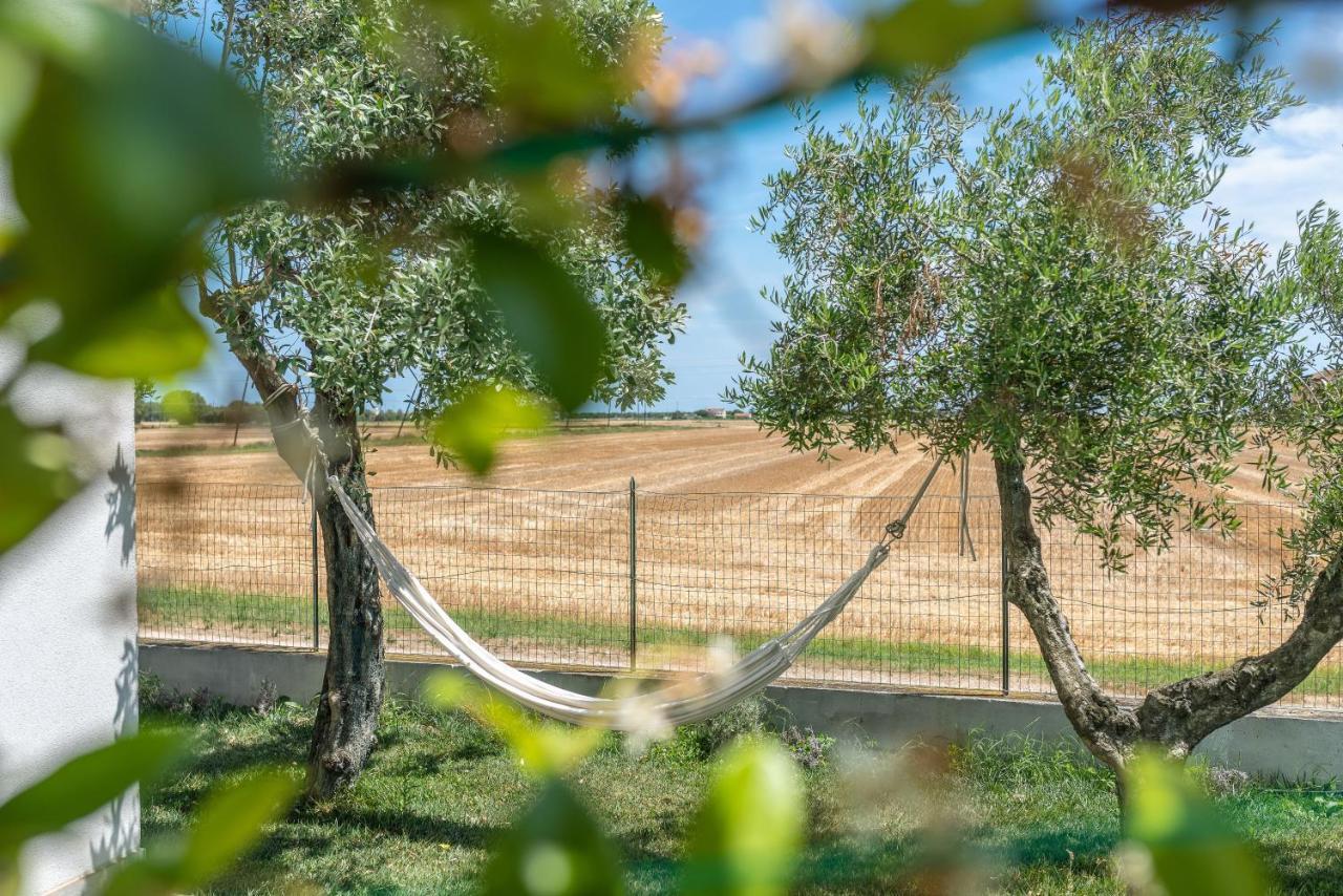 Ortopi Country Canapa House Порто-Реканаті Екстер'єр фото